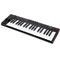 MIDI клавиатура IK Multimedia iRig Keys 2 Pro, изображение 2