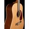 12-ти струнная гитара Seagull Coastline S12 Cedar, изображение 4