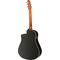 Гитара электроакустическая Seagull Entourage CW Black GT QI, изображение 2