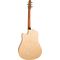 Гитара электроакустическая Seagull Performer CW Flame Maple HG QIT, изображение 2