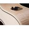 Гитара электроакустическая Seagull Performer CW Mini Jumbo HG QIT, изображение 5