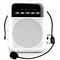 Портативная акустическая система Laudio WS-VA030-Pro, изображение 2