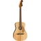 Гитара электроакустическая Fender Malibu Player WN Natural, изображение 2