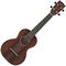 Укулеле Gretsch Concert Standard Ukulele W/GB