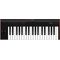 MIDI-клавиатура IK Multimedia iRig Keys 2