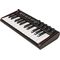 MIDI-клавиатура IK Multimedia iRig Keys 2 Mini, изображение 3