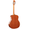 Гитара акустическая Prodipe SGA200, изображение 2