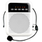 Портативная акустическая система LAudio WS-VA030