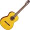 Гитара классичеcкая Takamine GC1-NAT