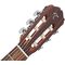 Гитара классичеcкая Takamine GC1-NAT, изображение 4