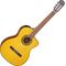 Гитара классичеcкая Takamine GC1CE-NAT