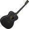 Гитара акустическая Tanglewood TWBB O