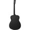 Гитара акустическая Tanglewood TWBB O, изображение 2