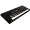 Музыкальная рабочая станция Korg Nautilus 61, изображение 2