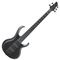 Бас-гитара Ibanez BTB625EX-BKF