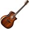 Гитара электроакустическая Cort The Black Tree WCASE LBS