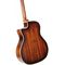 Гитара электроакустическая Cort The Black Tree WCASE LBS, изображение 4