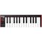 MIDI клавиатура Akai Pro LPK25 Mk2