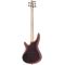Бас-гитара Ibanez SR305EDX-RGC, изображение 2