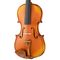 Скрипка Gliga PG-V044-A Professional Gama Genova, изображение 3