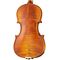 Скрипка Gliga PG-V044-A Professional Gama Genova, изображение 4