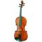 Скрипка Gliga PU-V044-OH Professional Gama Unique Ash