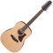 12-струнная электроакустическая гитара Ibanez AAD1012E-OPN