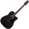 Гитара электроакустическая Ibanez AAD190CE-WKH