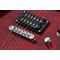Электрогитара Schecter C-6 Plus STCB