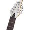 Электрогитара Schecter C-8 Deluxe SWHT