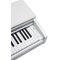 Цифровое пианино Kurzweil M210 WH, изображение 6