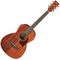 Гитара электроакустическая Ibanez PN12MHE-OPN