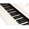 Цифровое пианино Medeli DP280K-PVC-WH, изображение 6