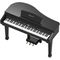 Цифровой рояль Ringway GDP-1120 Black