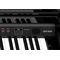 Цифровой рояль Ringway GDP-6320 Polish Black