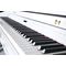 Цифровой рояль Ringway GDP-6320 Polish WhiteЦифровой рояль Ringway GDP-6320 Polish White