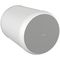 Пассивная акустическая система Tannoy OCV 6 WH