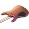 Электрогитара Ibanez SML721-RGC