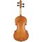 Скрипка Tomas Vagner NV280 4/4, изображение 2