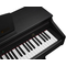 Цифровое пианино Artesia DP-10e Rosewood, изображение 4