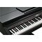 Цифровой рояль Kurzweil KAG100 EP, изображение 5