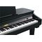 Цифровой рояль Kurzweil KAG100 EP, изображение 6