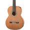 Гитара классическая Martinez ES-04C, изображение 2