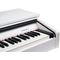 Цифровое пианино Medeli DP250RB-GW, изображение 7
