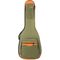 Чехол для акустической гитары Bro Bag CAG-41OL