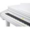 Цифровой рояль Kurzweil KAG100 WHP, изображение 4