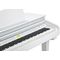 Цифровой рояль Kurzweil KAG100 WHP, изображение 5