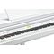 Цифровой рояль Kurzweil KAG100 WHP, изображение 6