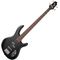Бас-гитара Cort Action Bass Plus BK WBAG