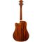 Гитара акустическая Rockdale Aurora D6 С NAT Gloss, изображение 3